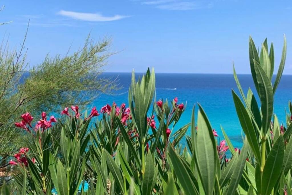 Boutique Apartment With Beach Within Walking Distance, Near Tropea Parghelia Εξωτερικό φωτογραφία